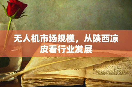 无人机市场规模，从陕西凉皮看行业发展