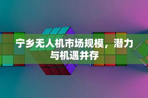 宁乡无人机市场规模，潜力与机遇并存