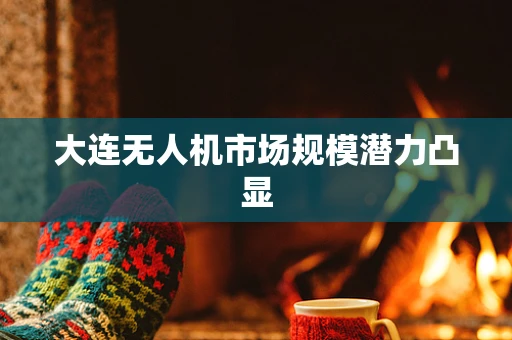 大连无人机市场规模潜力凸显