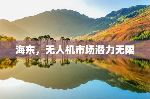 海东，无人机市场潜力无限