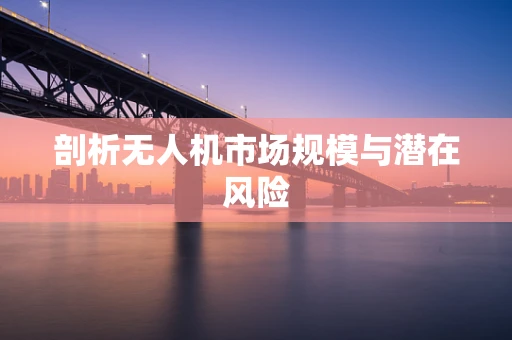剖析无人机市场规模与潜在风险