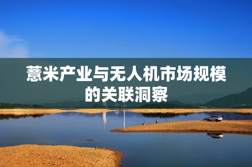 薏米产业与无人机市场规模的关联洞察