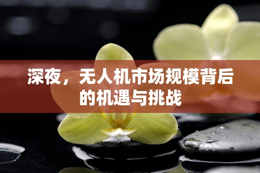 深夜，无人机市场规模背后的机遇与挑战
