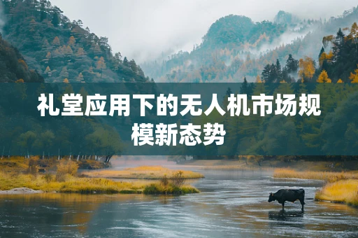 礼堂应用下的无人机市场规模新态势