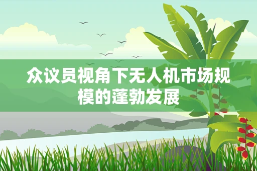 众议员视角下无人机市场规模的蓬勃发展