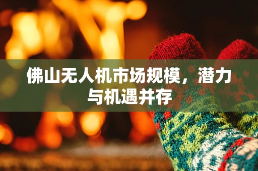 佛山无人机市场规模，潜力与机遇并存