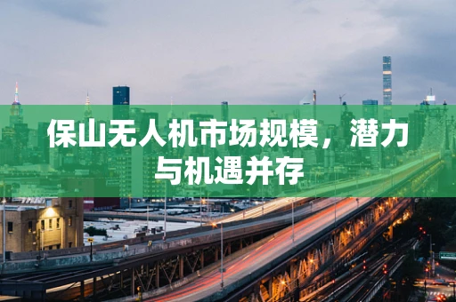保山无人机市场规模，潜力与机遇并存