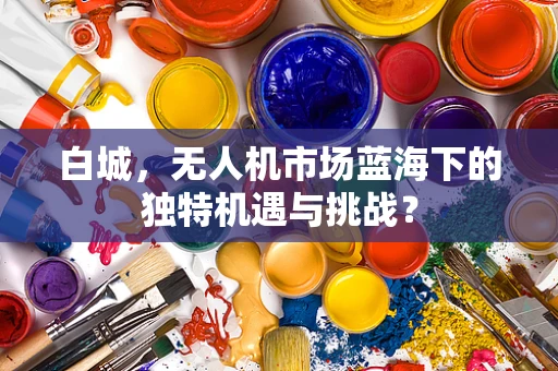 白城，无人机市场蓝海下的独特机遇与挑战？