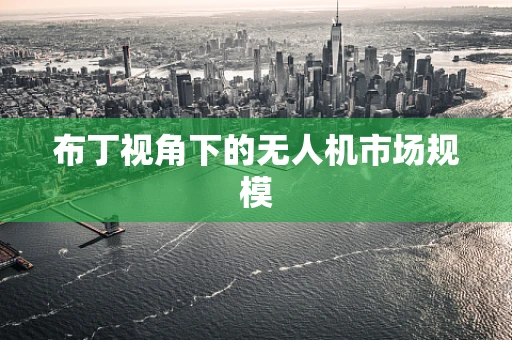 布丁视角下的无人机市场规模