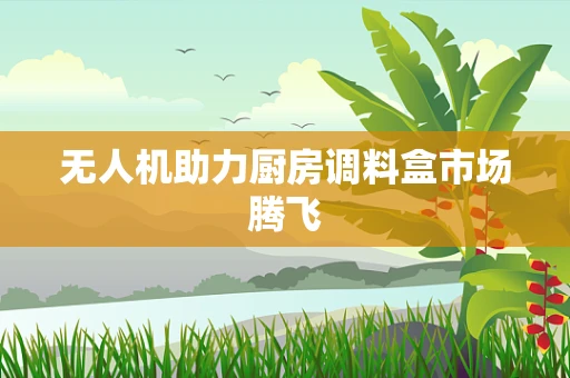 无人机助力厨房调料盒市场腾飞