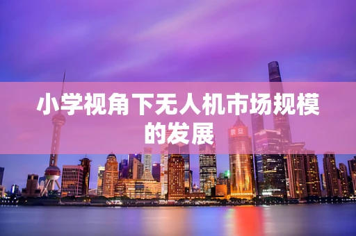 小学视角下无人机市场规模的发展
