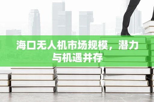 海口无人机市场规模，潜力与机遇并存