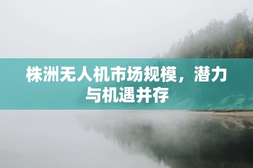株洲无人机市场规模，潜力与机遇并存