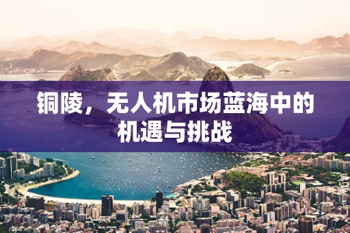 铜陵，无人机市场蓝海中的机遇与挑战