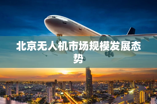 北京无人机市场规模发展态势