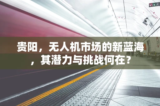 贵阳，无人机市场的新蓝海，其潜力与挑战何在？