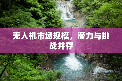 无人机市场规模，潜力与挑战并存