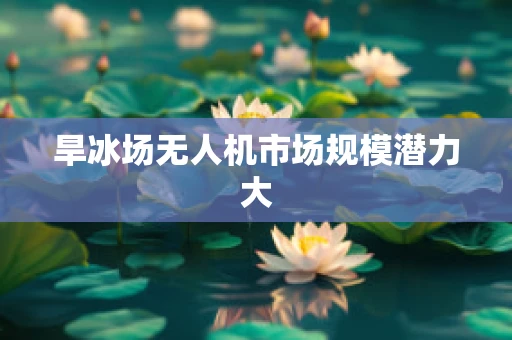 旱冰场无人机市场规模潜力大