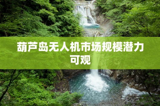 葫芦岛无人机市场规模潜力可观