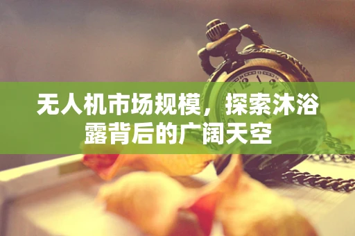 无人机市场规模，探索沐浴露背后的广阔天空