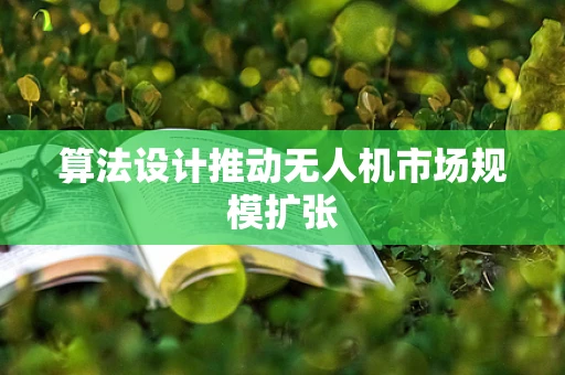 算法设计推动无人机市场规模扩张