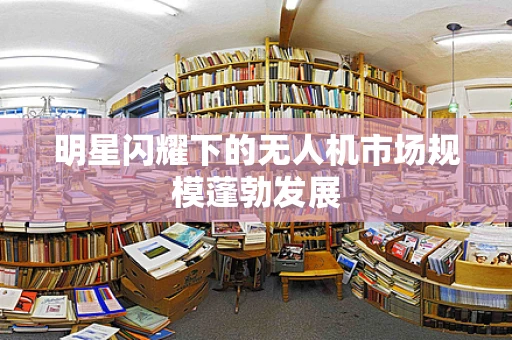 明星闪耀下的无人机市场规模蓬勃发展