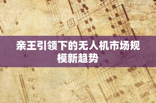 亲王引领下的无人机市场规模新趋势