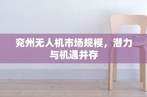兖州无人机市场规模，潜力与机遇并存