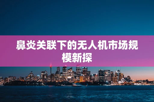 鼻炎关联下的无人机市场规模新探