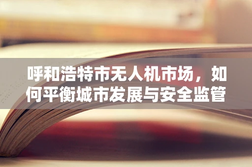 呼和浩特市无人机市场，如何平衡城市发展与安全监管？