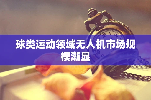 球类运动领域无人机市场规模渐显