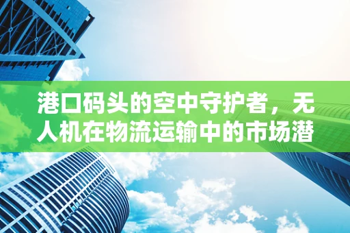 港口码头的空中守护者，无人机在物流运输中的市场潜力有多大？