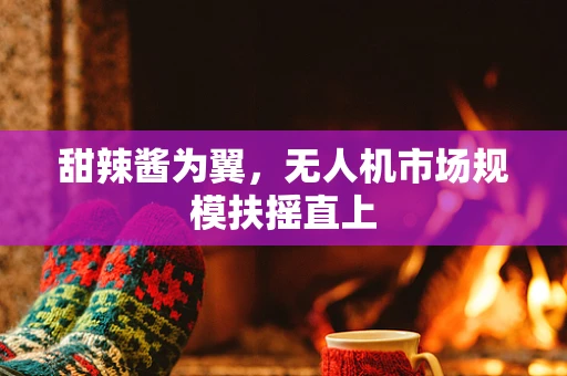 甜辣酱为翼，无人机市场规模扶摇直上