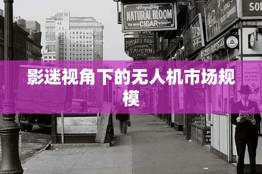 影迷视角下的无人机市场规模