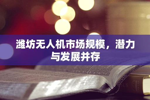 潍坊无人机市场规模，潜力与发展并存