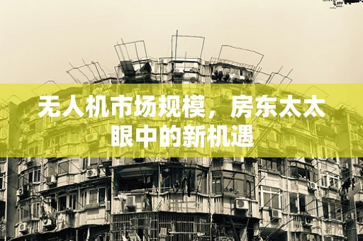 无人机市场规模，房东太太眼中的新机遇