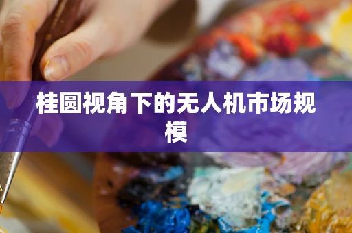 桂圆视角下的无人机市场规模