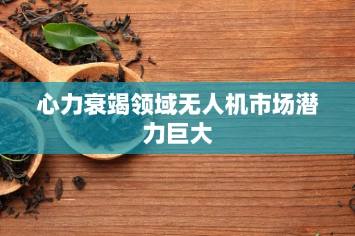 心力衰竭领域无人机市场潜力巨大