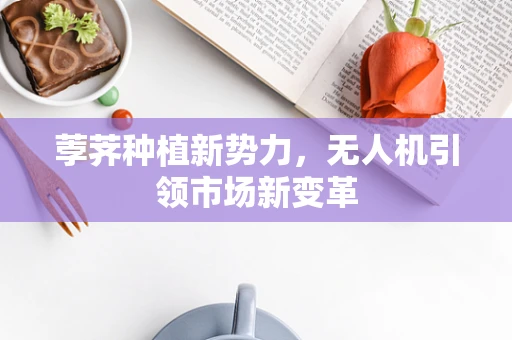 荸荠种植新势力，无人机引领市场新变革