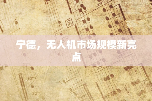 宁德，无人机市场规模新亮点
