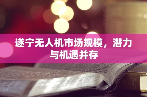 遂宁无人机市场规模，潜力与机遇并存