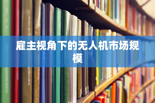 雇主视角下的无人机市场规模