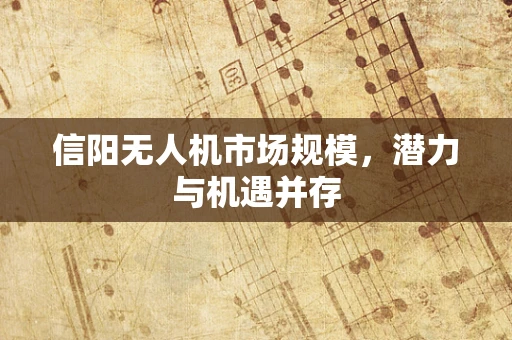 信阳无人机市场规模，潜力与机遇并存