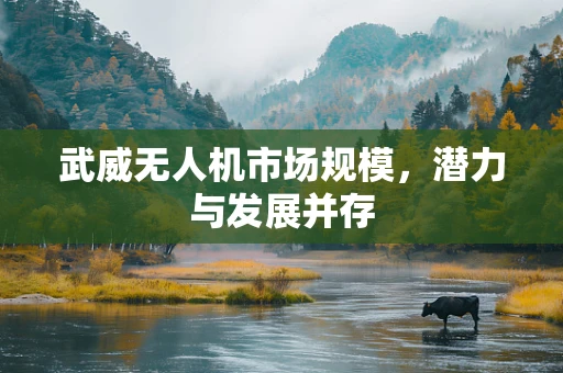 武威无人机市场规模，潜力与发展并存