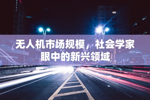 无人机市场规模，社会学家眼中的新兴领域