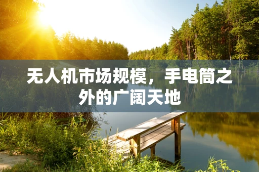 无人机市场规模，手电筒之外的广阔天地