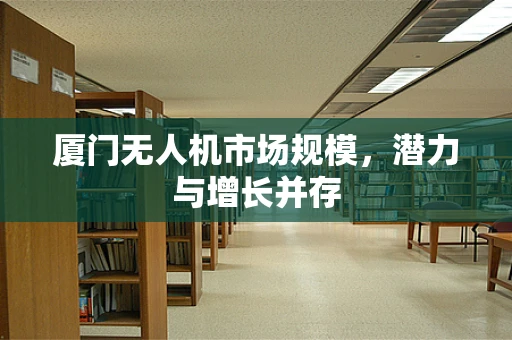 厦门无人机市场规模，潜力与增长并存
