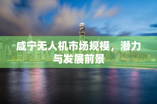咸宁无人机市场规模，潜力与发展前景