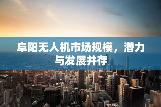 阜阳无人机市场规模，潜力与发展并存