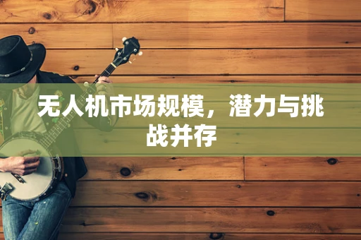 无人机市场规模，潜力与挑战并存